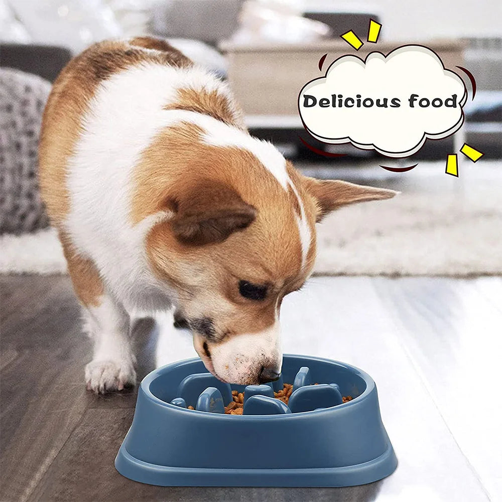 Pet Feeding Bowl Dog Single Capacity Slow Feeding Anti Gulping Puzzle Non Slip Silicone Indoor Daily Medium Small Puppy No Extra Accessories