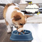 Pet Feeding Bowl Dog Single Capacity Slow Feeding Anti Gulping Puzzle Non Slip Silicone Indoor Daily Medium Small Puppy No Extra Accessories