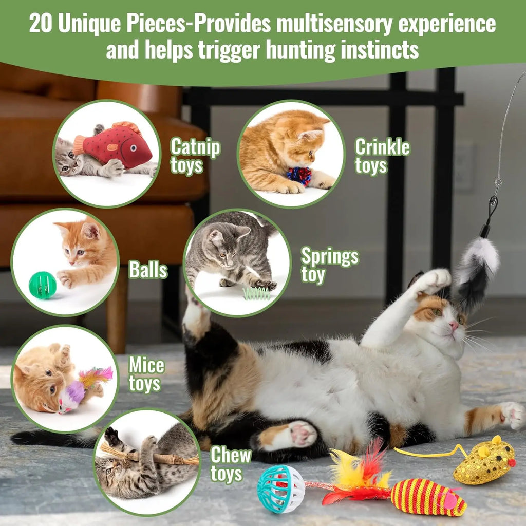 Cat Toys Variety Pack 20 Different Fun Items for Kittens