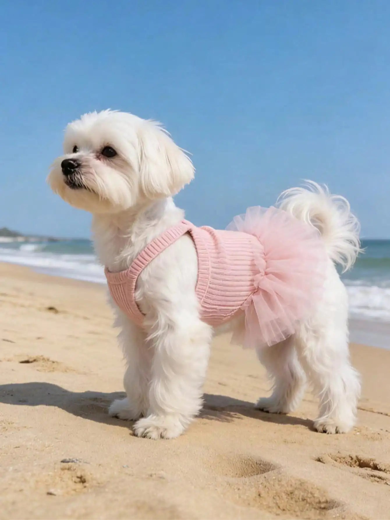 Ballet Tulle Dress