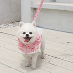 Small Dog Clothes Pet Cat Harness With Leash Lace Teddy Bichon Spring Summer Autumn Dog Leash Cat Supplies