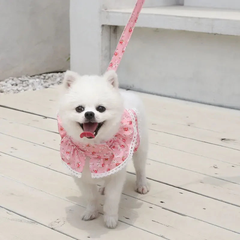 Small Dog Clothes Pet Cat Harness With Leash Lace Teddy Bichon Spring Summer Autumn Dog Leash Cat Supplies