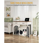 Charging Kennel Console