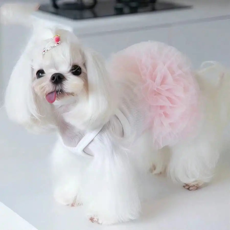 Ballet Tulle Dress
