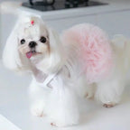 Ballet Tulle Dress
