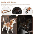 Step in Vest Harness for Small and Medium Dogs, No Pull Puppy Harness with Leash Set, Comfortable Air Mesh Dogs Vest Harness wi