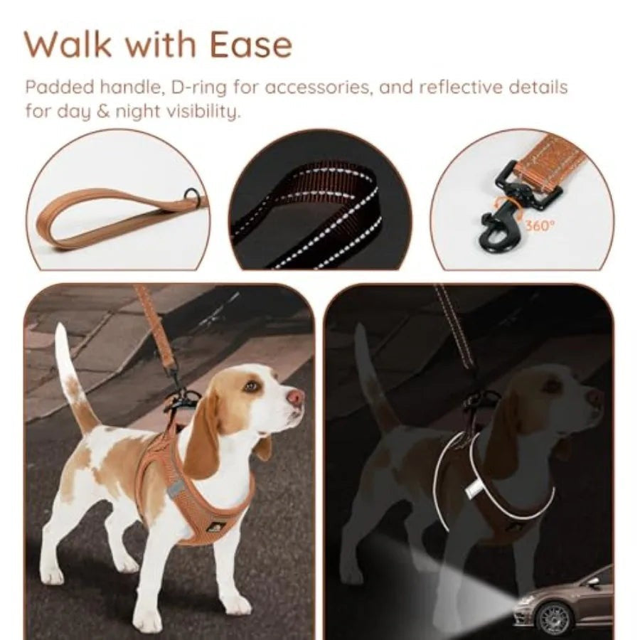 Step in Vest Harness for Small and Medium Dogs, No Pull Puppy Harness with Leash Set, Comfortable Air Mesh Dogs Vest Harness wi