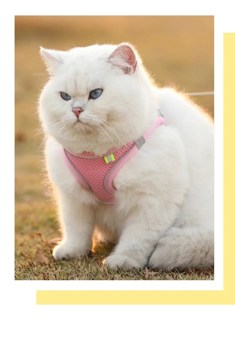Breathable Vest Harness Adjustable Lightweight Small Dog Cat Safe Polyester Outdoor Daily Walking