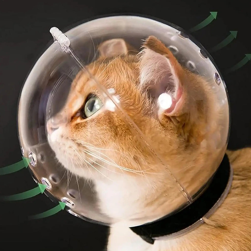 Breathable Sturdy Muzzle Mask Cat Head Cover Space Hood Ball shaped Kitten Protective Helmet Anti-bite Pet Grooming Supplies