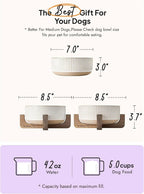 Ceramic Dog Bowls for Medium Large Dogs - 5 Cup Large Dog Food and Water Bowls with Wood Stand, Cute Pet Dishes Set of 2, Lines+Dot