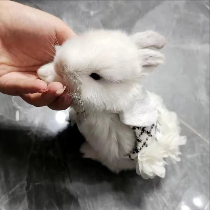 Fashion Rabbit Guinea Pigs Clothes with Harness Outdoor Pet Harnesses and Leash Set for Little Animals Bunny Chinchillas Suit