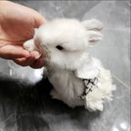 Fashion Rabbit Guinea Pigs Clothes with Harness Outdoor Pet Harnesses and Leash Set for Little Animals Bunny Chinchillas Suit