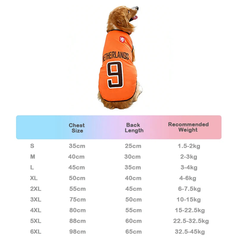 Sport Mesh Jersey