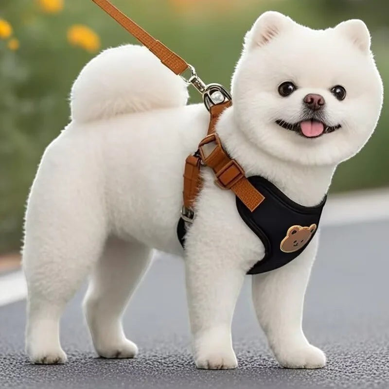 Pet Dog Harness Leash Set Small Medium Dog Cat Vest Breathable Puppy Chest Strap French Bulldog Chihuahua Harness Pet Supplies
