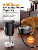 Dog Cat Water Fountain with Doggy Spout, Stainless Steel, 10L, LED Window, Multi-Filtration