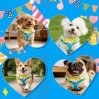Cute Dog Harness Collar Leash Set - Blue Girl Dog Harness Checke Step-in Design, Adjustable No-Choke Lightweight Mesh Vest for