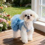 Ballet Tulle Dress