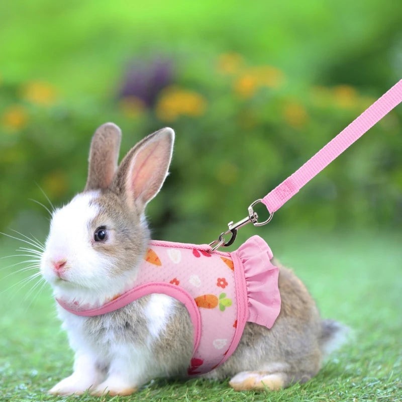 Mincy Pets Breathable Mesh Rabbit Harness & Leash Set product photo.