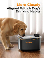 Dog Cat Water Fountain with Doggy Spout, Stainless Steel, 10L, LED Window, Multi-Filtration