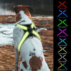 8 Color LED Pet Dog Luminous Harness Rechargeable Flashing Light Up Night Safety Dog Vest Harness New Style