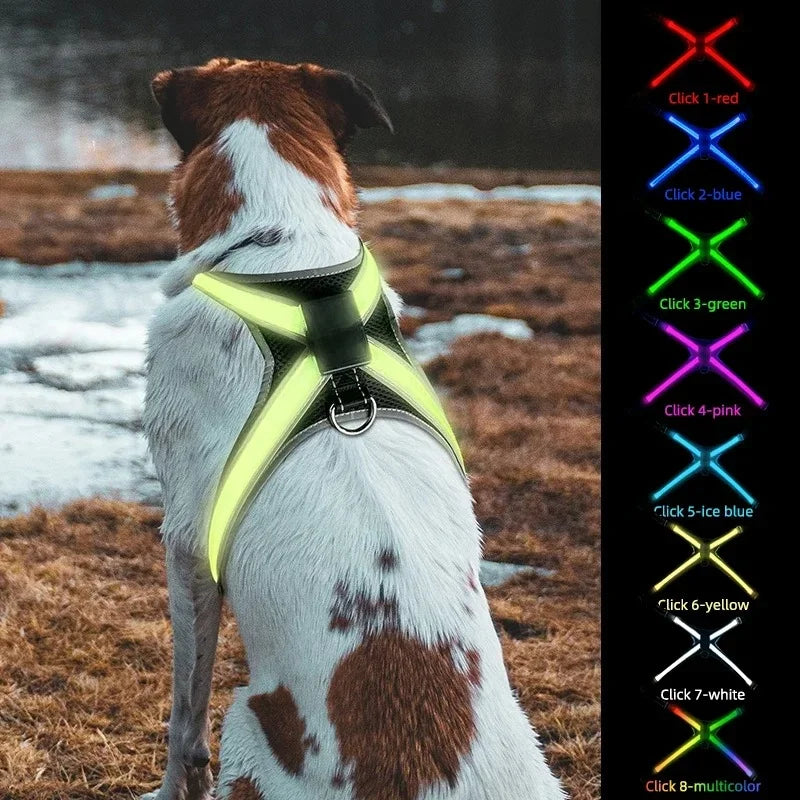 8 Color LED Pet Dog Luminous Harness Rechargeable Flashing Light Up Night Safety Dog Vest Harness New Style