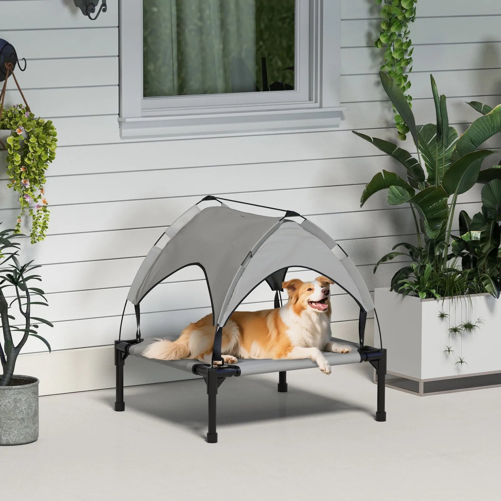 Elevated Outdoor Dog Bed with Canopy