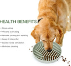 Slow Feeder Dog Bowls, Puzzle Silicone with Suction Cups, Anti-Choking, Non-Slip, Reduces Boredom & Anxiety for Medium to Small Dogs & Cats
