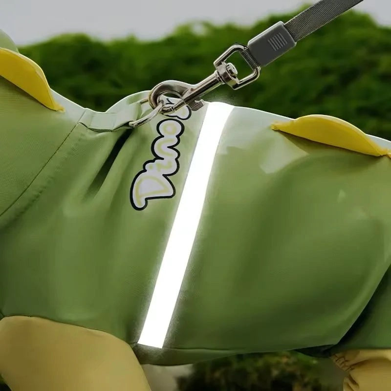 Dino Raincoat