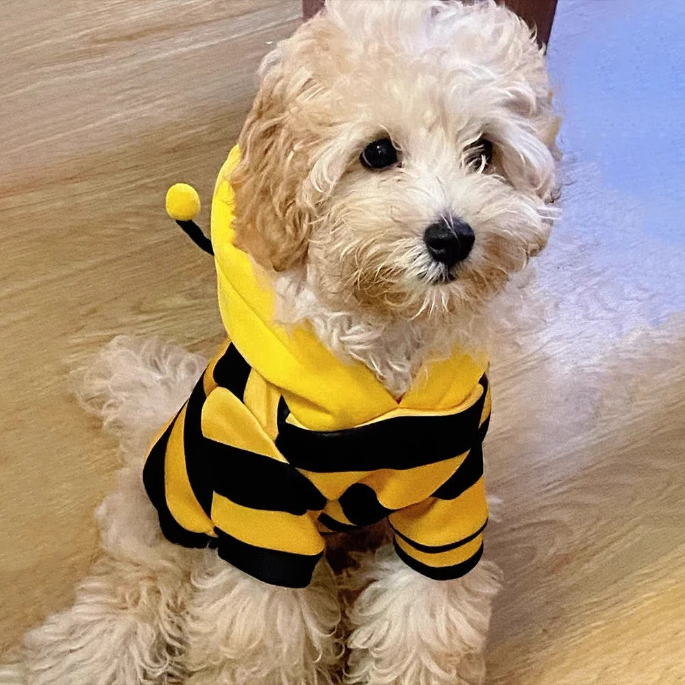 Little Bee Hoodie