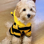 Little Bee Hoodie