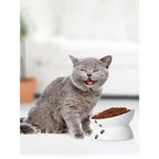 Cat Bowl Anti Vomitg, Raised Food Bowls, Tilted Elevated Bowl, Ceramic Pet Food Bowl for Flat Faced Cats, Small Dogs, Protect P
