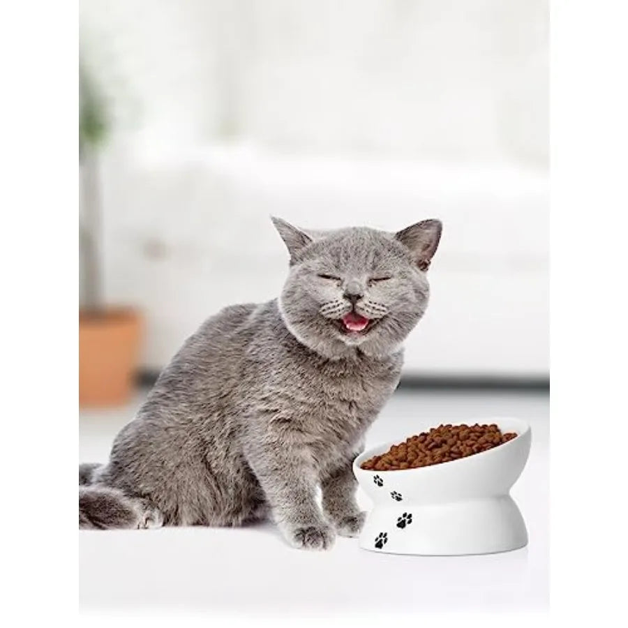 Cat Bowl Anti Vomitg, Raised Food Bowls, Tilted Elevated Bowl, Ceramic Pet Food Bowl for Flat Faced Cats, Small Dogs, Protect P