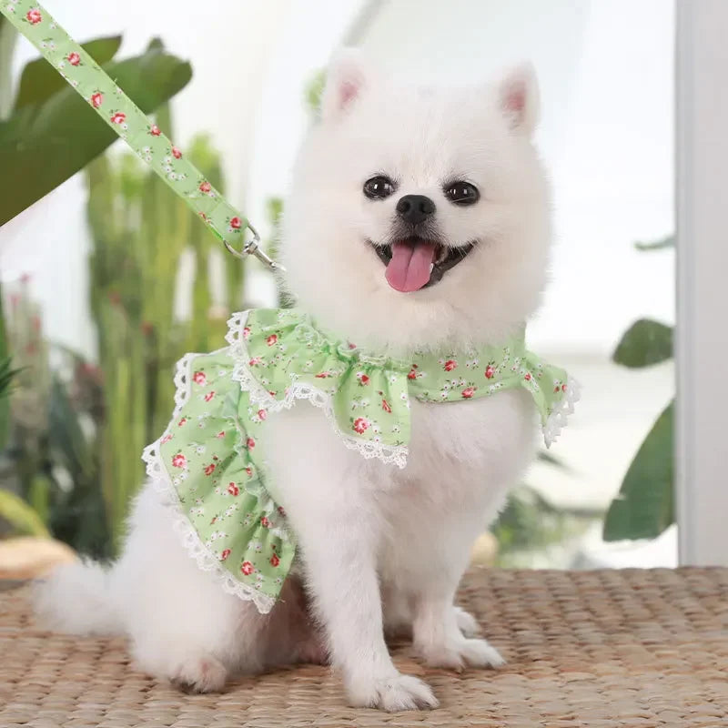 Small Dog Clothes Pet Cat Harness With Leash Lace Teddy Bichon Spring Summer Autumn Dog Leash Cat Supplies