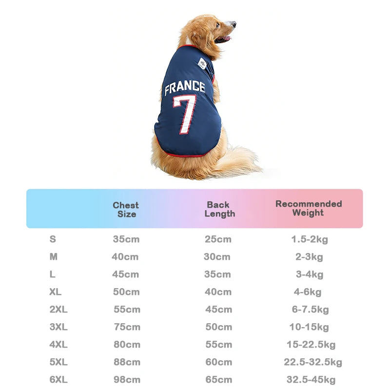 Sport Mesh Jersey