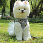 Nylon Puppy Harness Vest with Leash Breathable Reflective Pet Dogs Cats Harness for Chihuahua French Bulldog Collar Dog Supplies