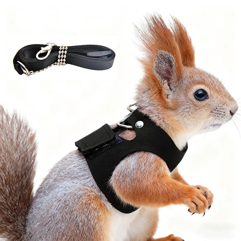 Comfortable Ferret Vest Harness Set Pet Harness Leash Adjustable Hamster Chest Strap Walking Outdoor Squirrels Anti Lost Rope