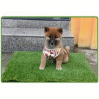Washable Grass Dog Training Mat