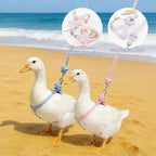 Pink&Blue Adjustable Chicken Harness Leash Set, Easy Wear Star Vest, Duck Harness for Duck Goose（2Pcs）
