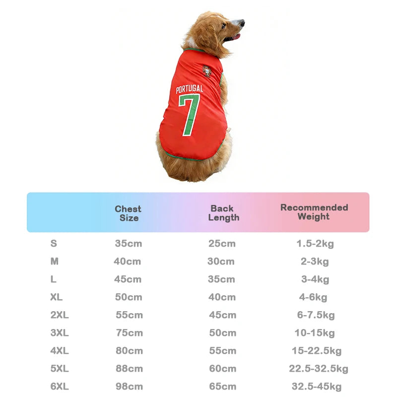 Sport Mesh Jersey
