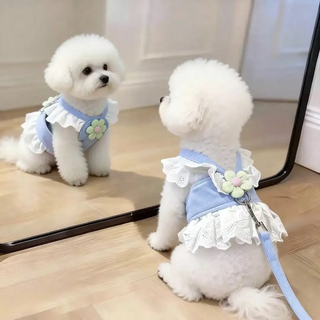 Floral Lace Pet Harness Dress with Matching Leash, Ruffle Princess Style, Breathable Fabric. Cute decorative outfit for small dogs and cats, comfortable walking harness for outdoor strolls, photo shooting and daily wearing