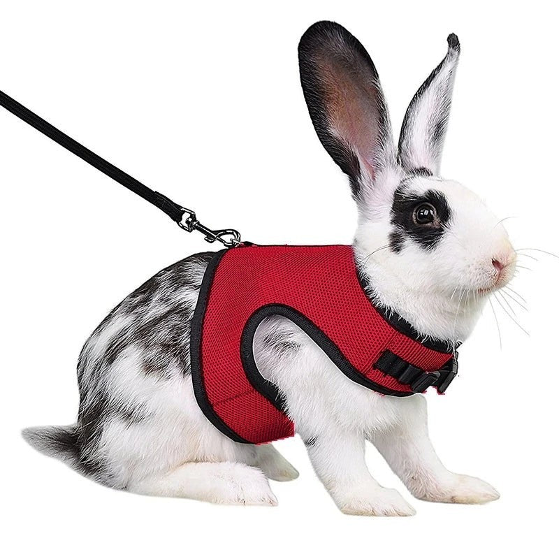 Mincy Pets Breathable Vest Harness & Leash Set for Rabbits product photo.