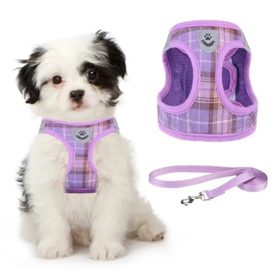 Small Dog Harness and Leash Set, Cute Puppy Harness, Step in No Pull Soft Mesh Pet Vest Harness Collar for Small Size Dogs Cats