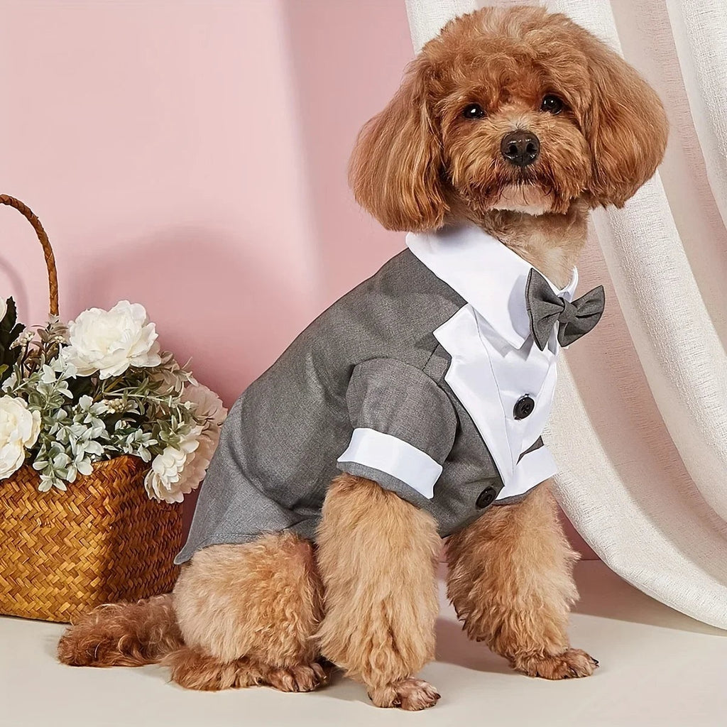 Black Tie Suit