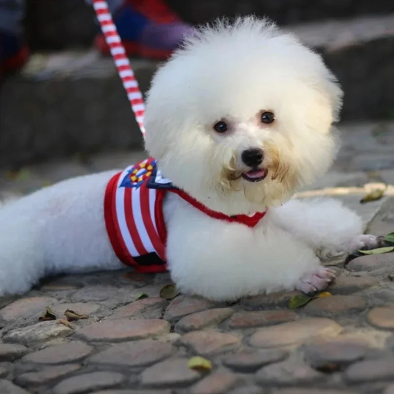 Soft and Breathable Nautical-style Dog Outfit & Leash Set, Suitable for Small and Medium Dogs, Puppy Collars, Harness and Leash for Dogs and Cats