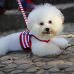 Soft and Breathable Nautical-style Dog Outfit & Leash Set, Suitable for Small and Medium Dogs, Puppy Collars, Harness and Leash for Dogs and Cats