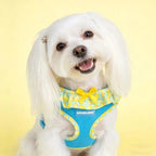 Cute Dog Harness Collar Leash Set - Blue Girl Dog Harness Checke Step-in Design, Adjustable No-Choke Lightweight Mesh Vest for