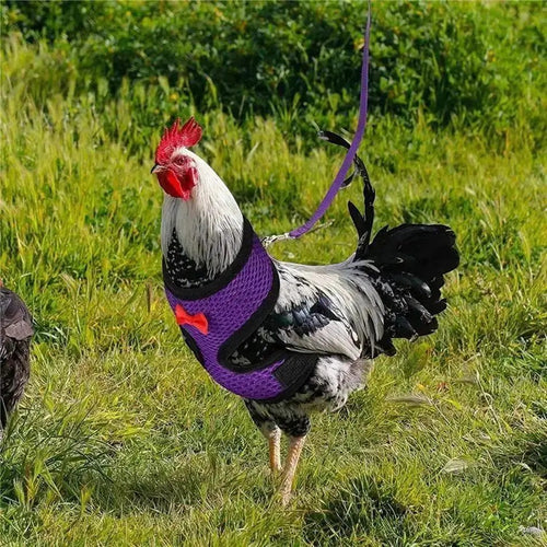 1 Pcs Fashion Chicken Duck Vest Hen Belt Pet Harness Matching Collars Bow Comfortable Leads Breathable Poultry Supply Wholesale