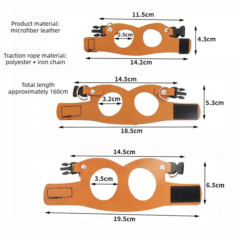 Comfortable Ferret Vest Harness Set Pet Harness Leash Adjustable Hamster Chest Strap Walking Outdoor Squirrels Anti Lost Rope
