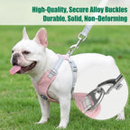 Dog Harness Leash Set Reflective Adjustable Pet Vest Harness with Metal D Ring Breathable Puppy Cat Walking Chest Strap Supplies