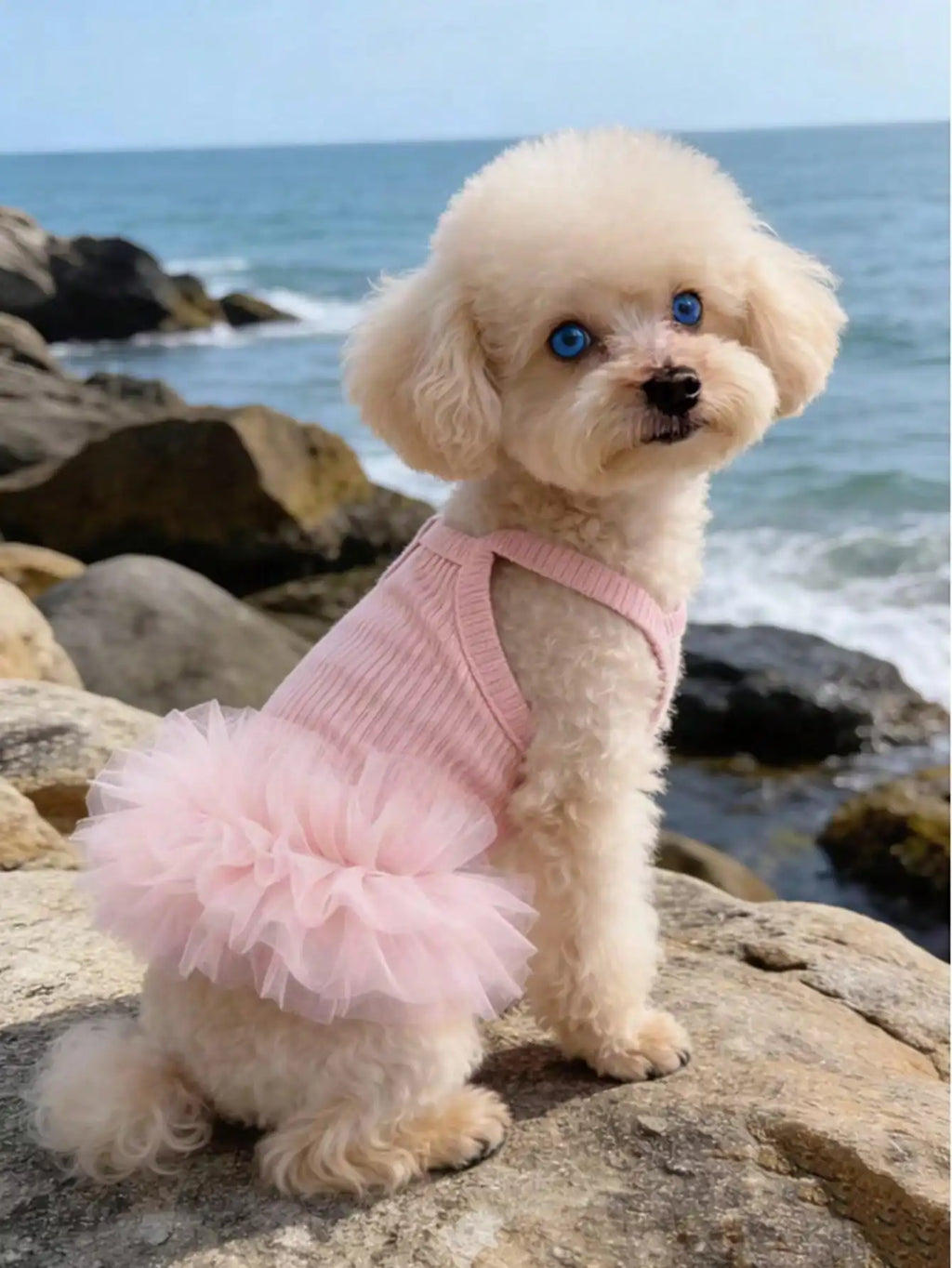 Ballet Tulle Dress